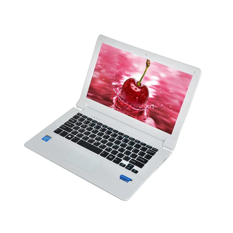 netbook laptop celeron